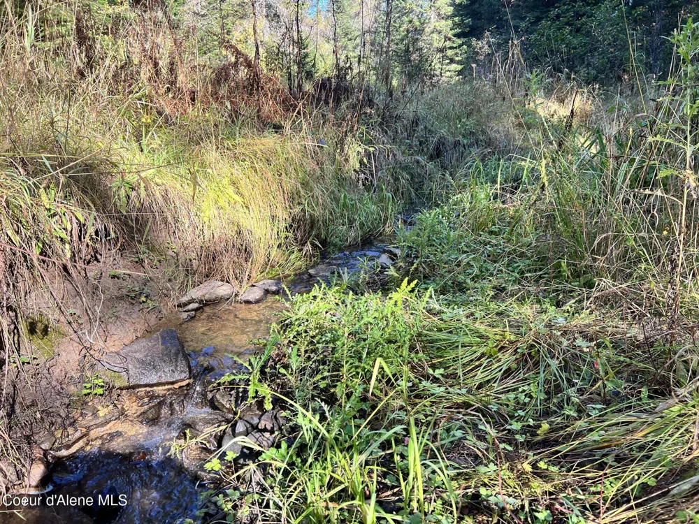 500 Jane's Ln St. Maries, ID 83861