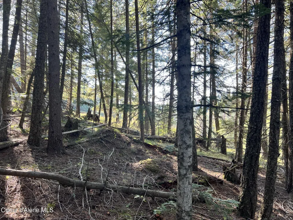 500 Jane's Ln St. Maries, ID 83861