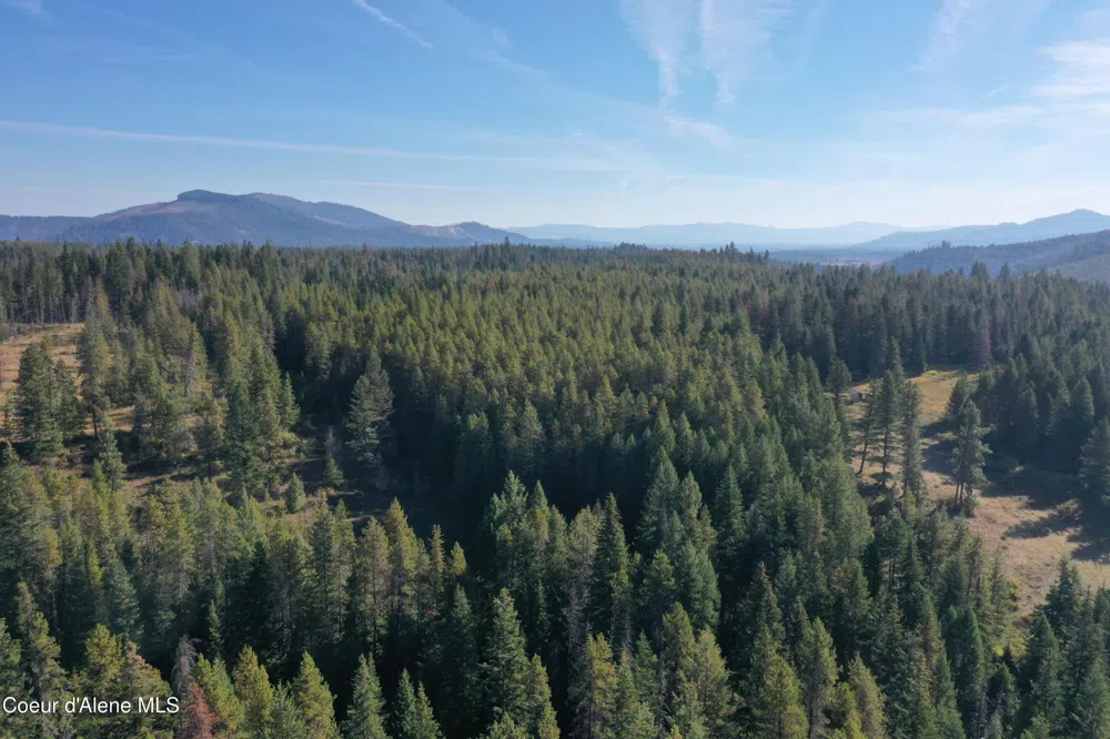 500 Jane's Ln St. Maries, ID 83861