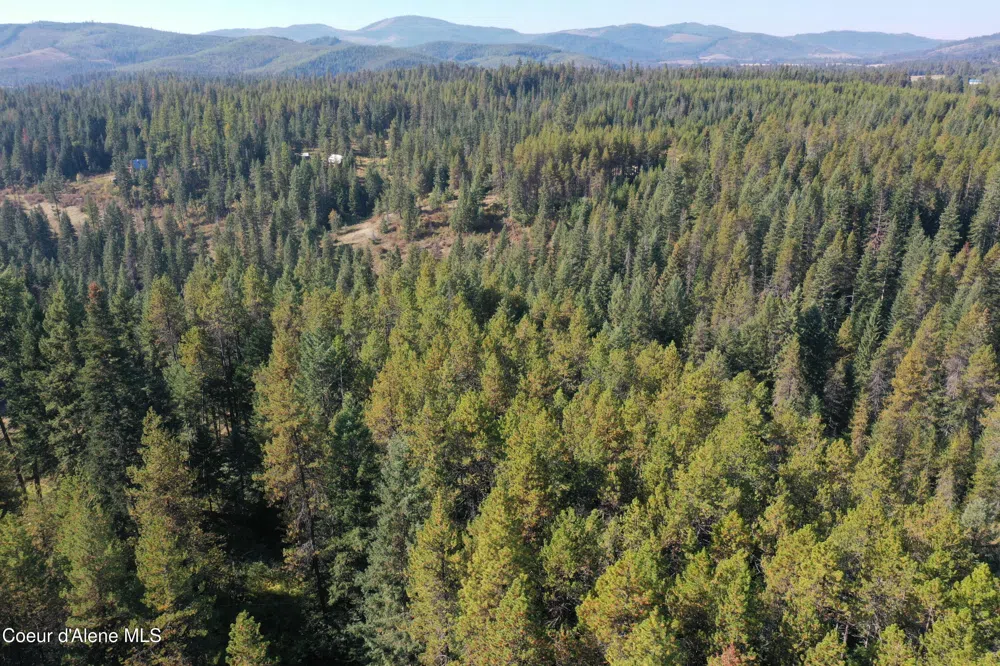 500 Jane's Ln St. Maries, ID 83861