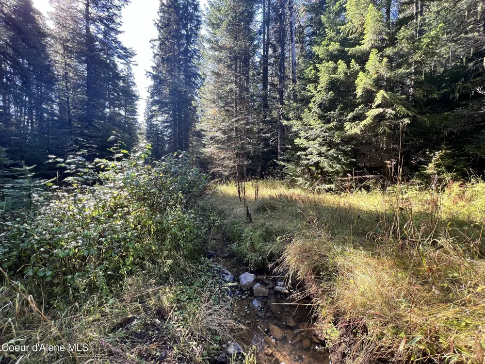 418 Jane's Ln St. Maries, ID 83861