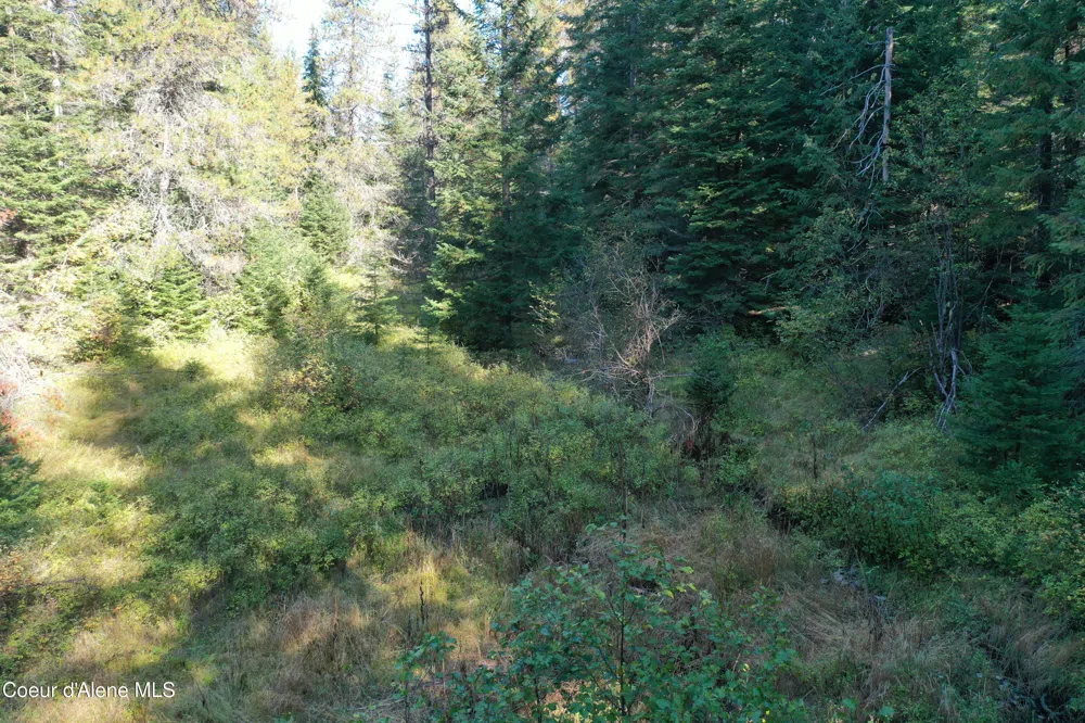 418 Jane's Ln St. Maries, ID 83861