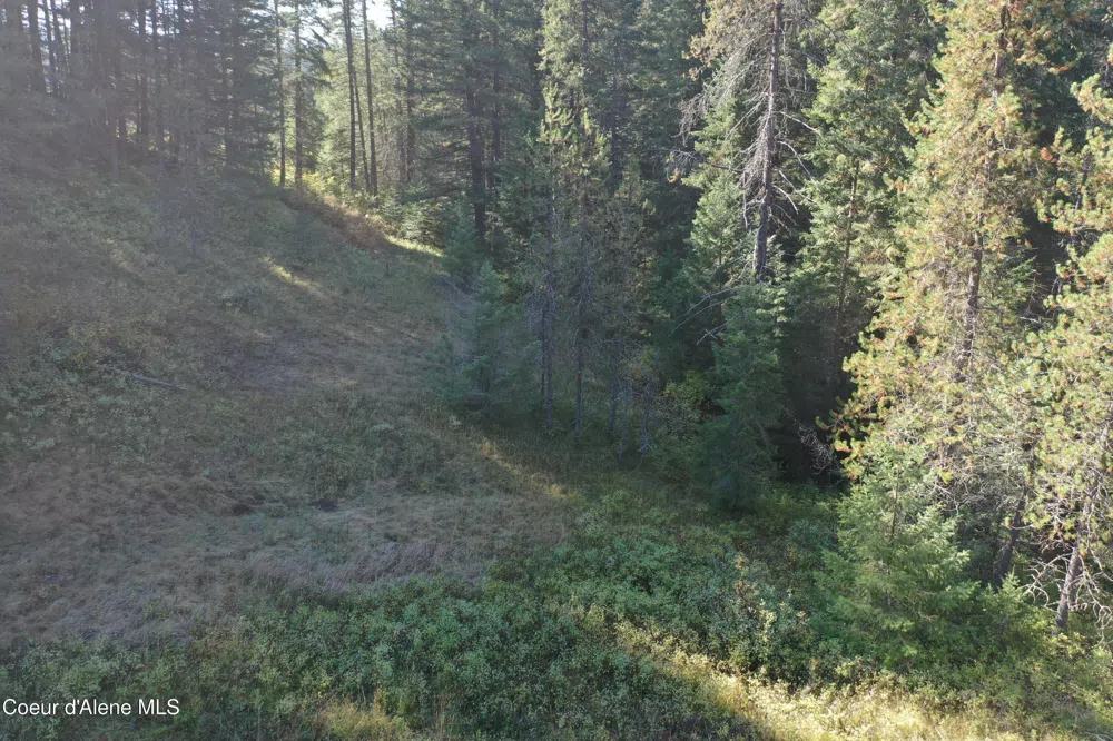 418 Jane's Ln St. Maries, ID 83861