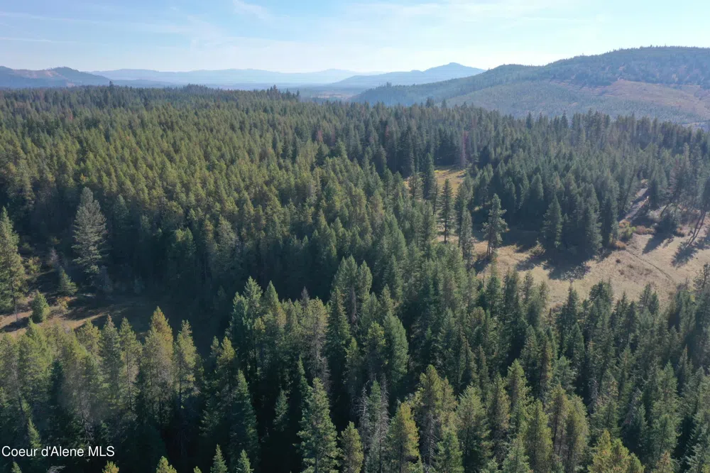 418 Jane's Ln St. Maries, ID 83861