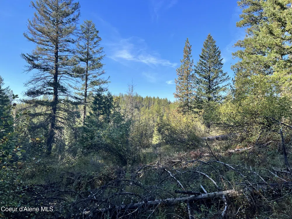 418 Jane's Ln St. Maries, ID 83861
