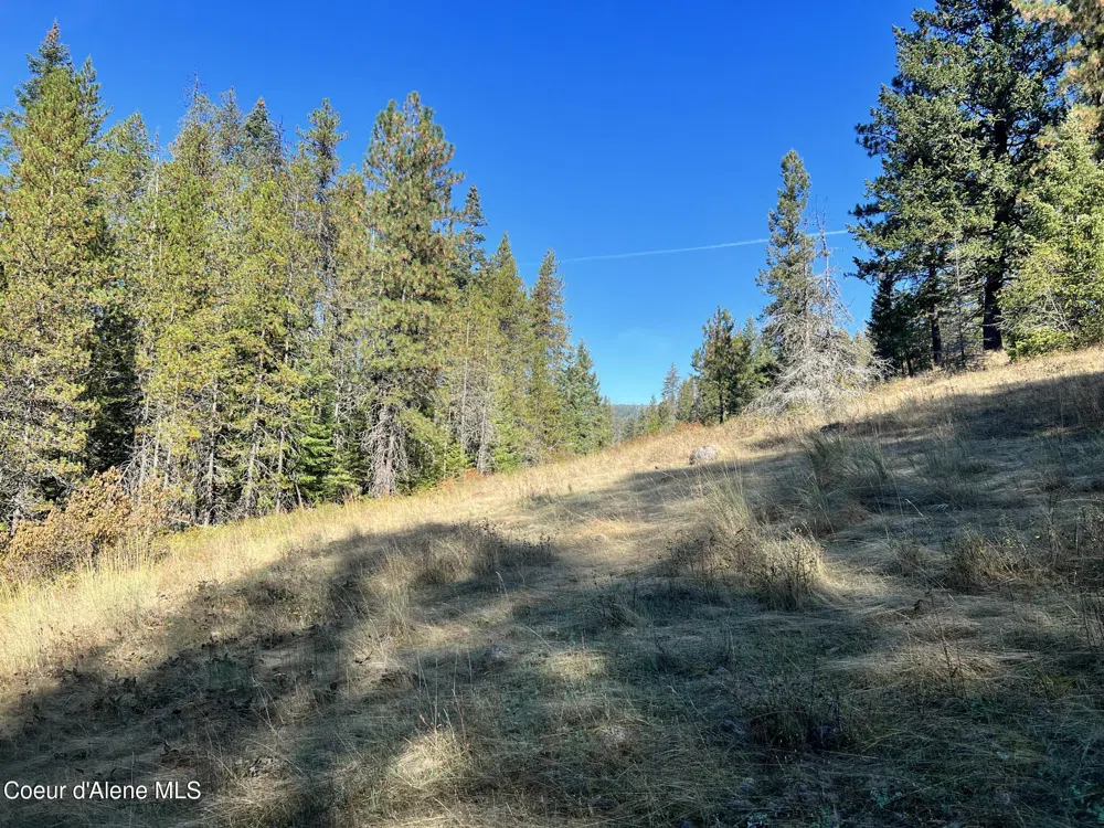 418 Jane's Ln St. Maries, ID 83861