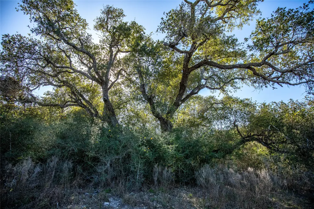 6498 Hwy 35 Rockport, TX 78382