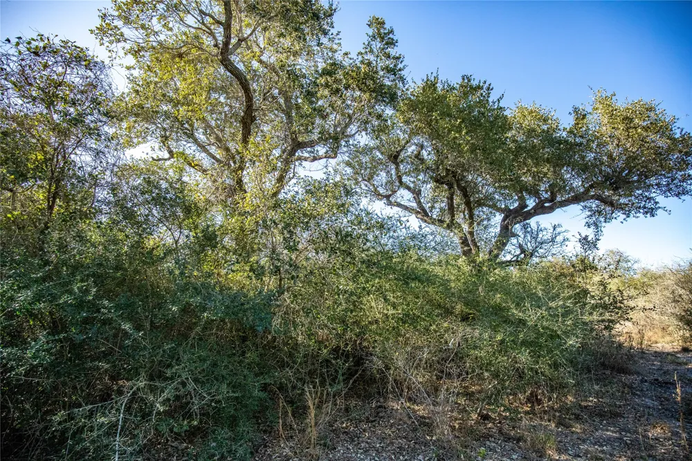 6498 Hwy 35 Rockport, TX 78382