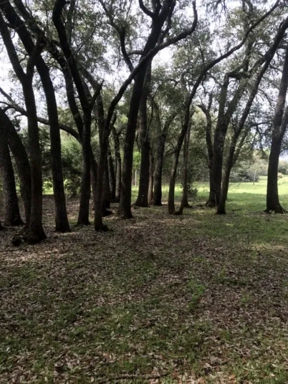 555 River Run Leander, TX 78641