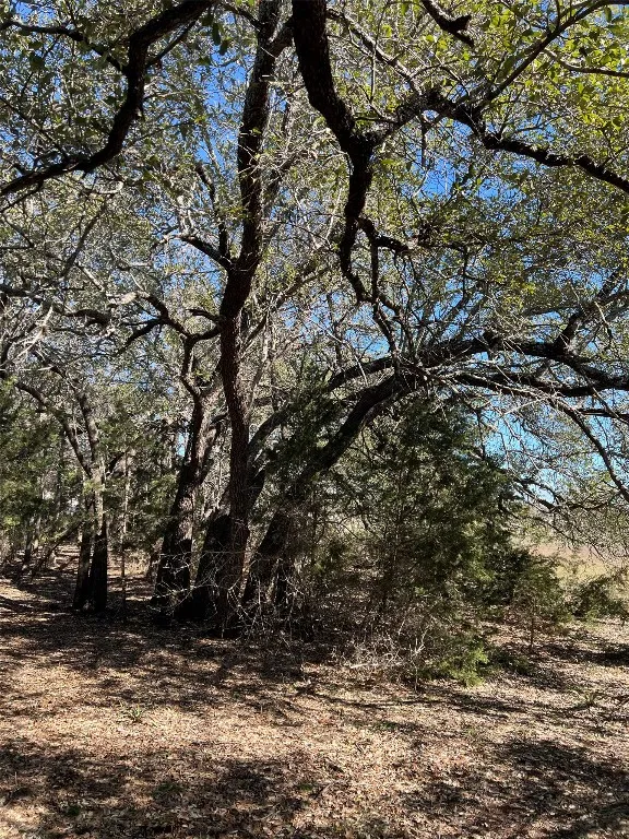 555 River Run Leander, TX 78641