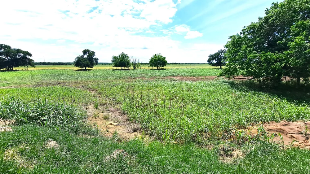 3 County Road 432 Road Rockdale, TX 76567