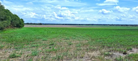 3135 CR 432 ROAD