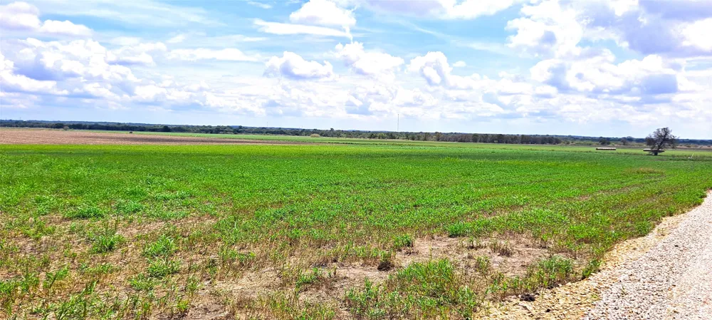 3135 CR 432 ROAD Thorndale, TX 76577