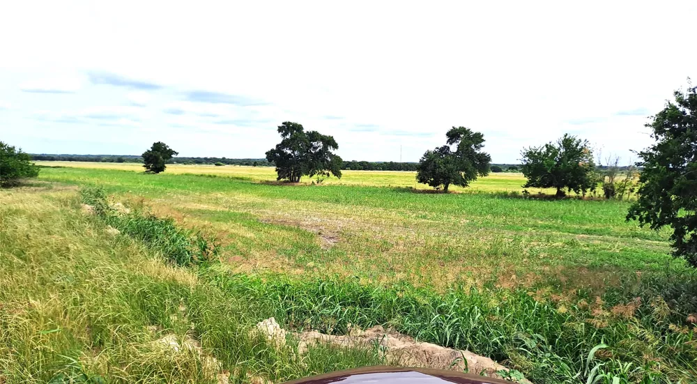 3135 CR 432 ROAD Thorndale, TX 76577