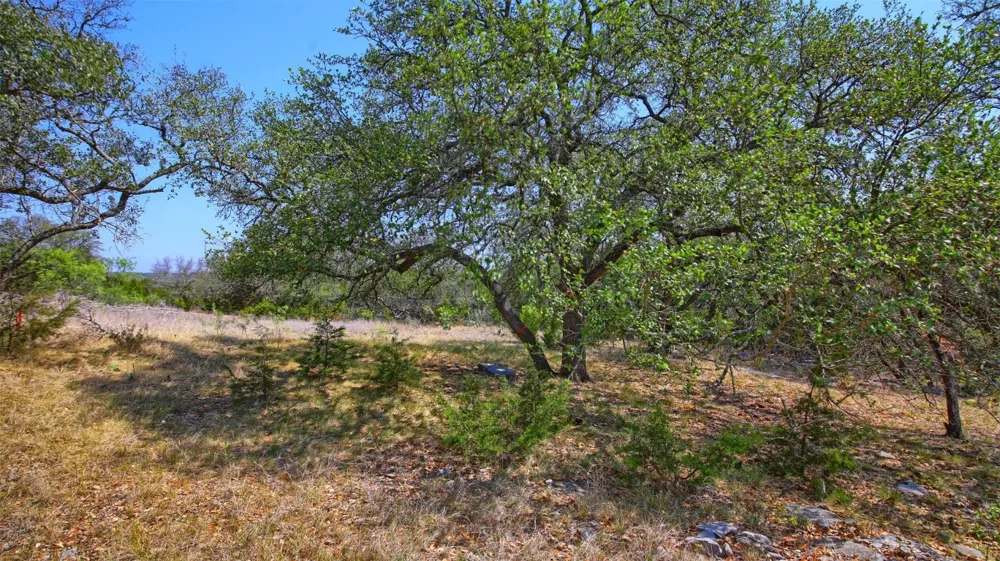 Mormon Mill Road Marble Falls, TX 78654