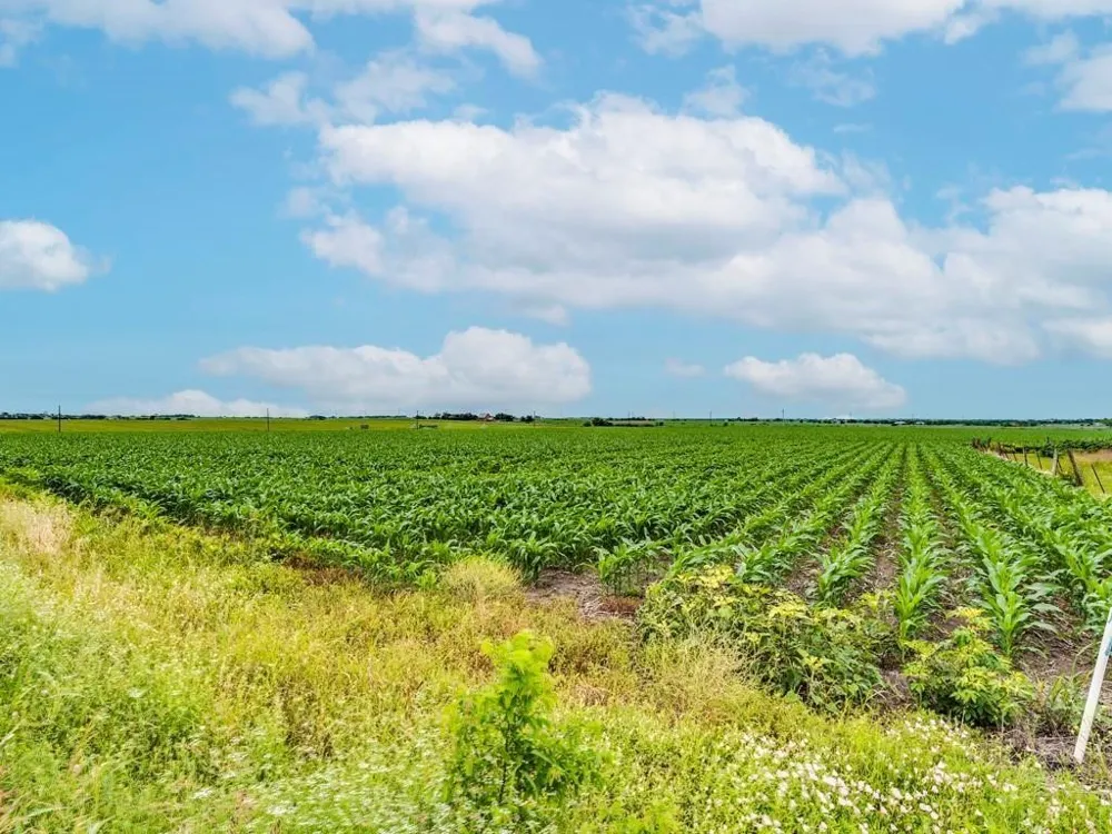 FM 973 N Coupland, TX 78615