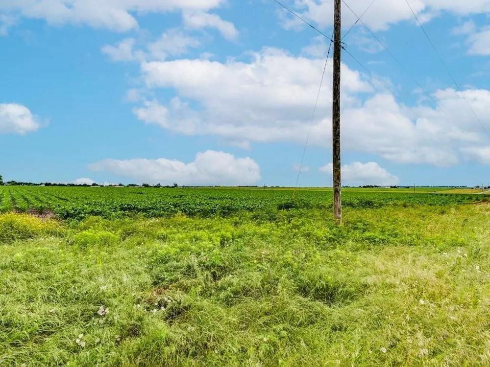 FM 973 N Coupland, TX 78615