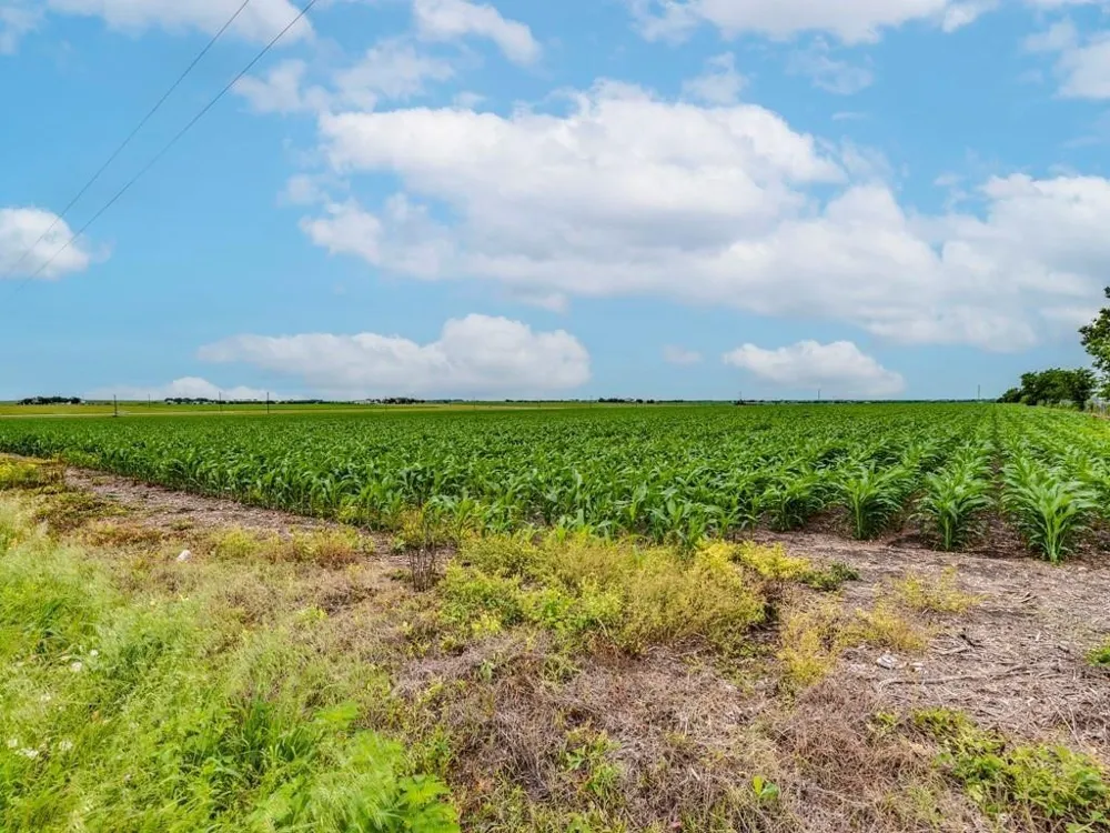 FM 973 N Coupland, TX 78615