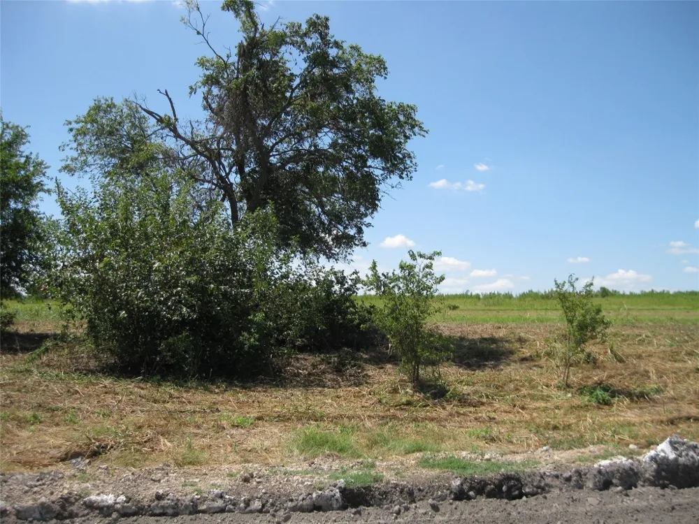 County Road 133 Hutto, TX 78634
