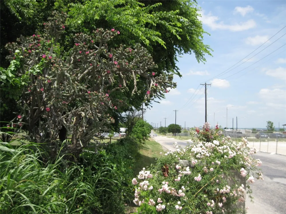 County Road 133 Hutto, TX 78634