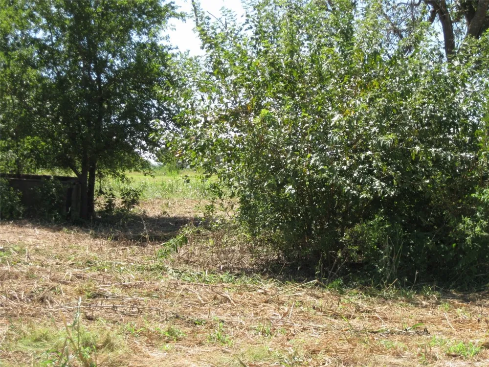County Road 133 Hutto, TX 78634