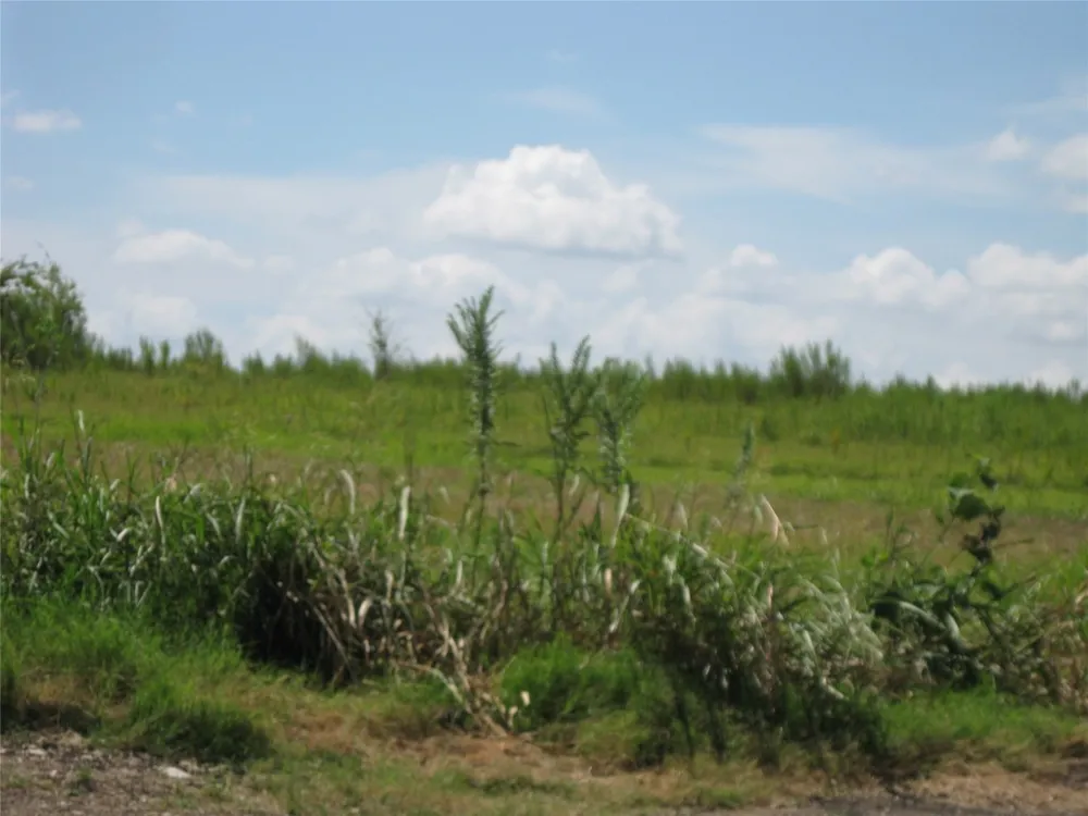 County Road 133 Hutto, TX 78634
