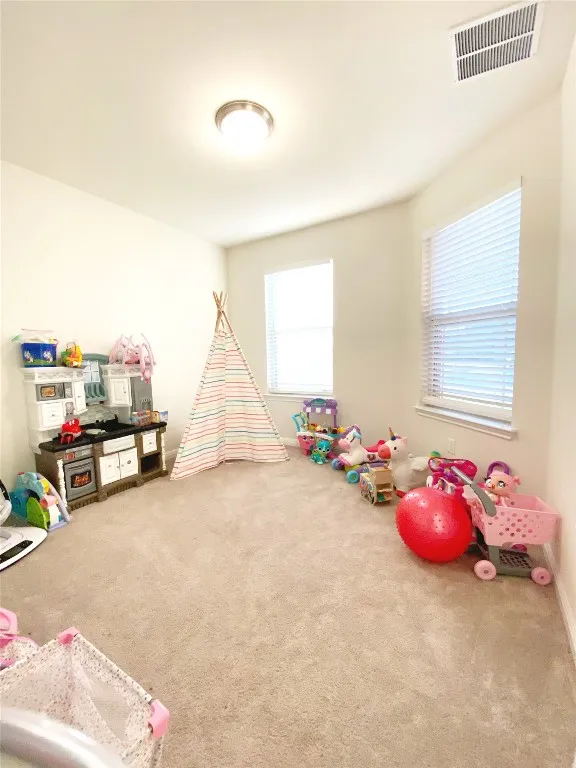 233 Red Sun Drive Kyle, TX 78640