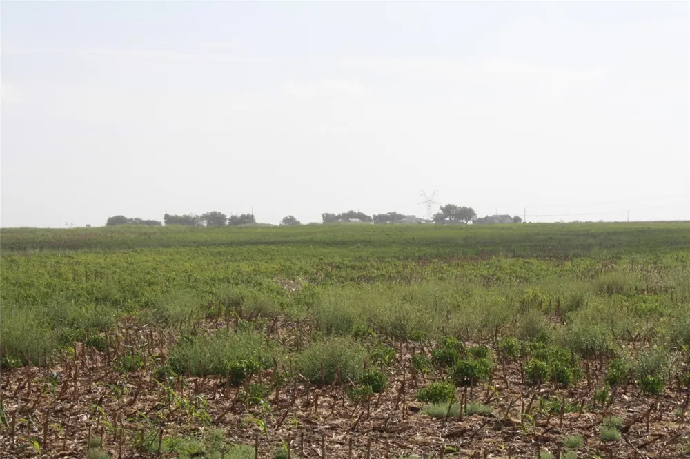 Gooseneck Road #1 Bartlett, TX 76511