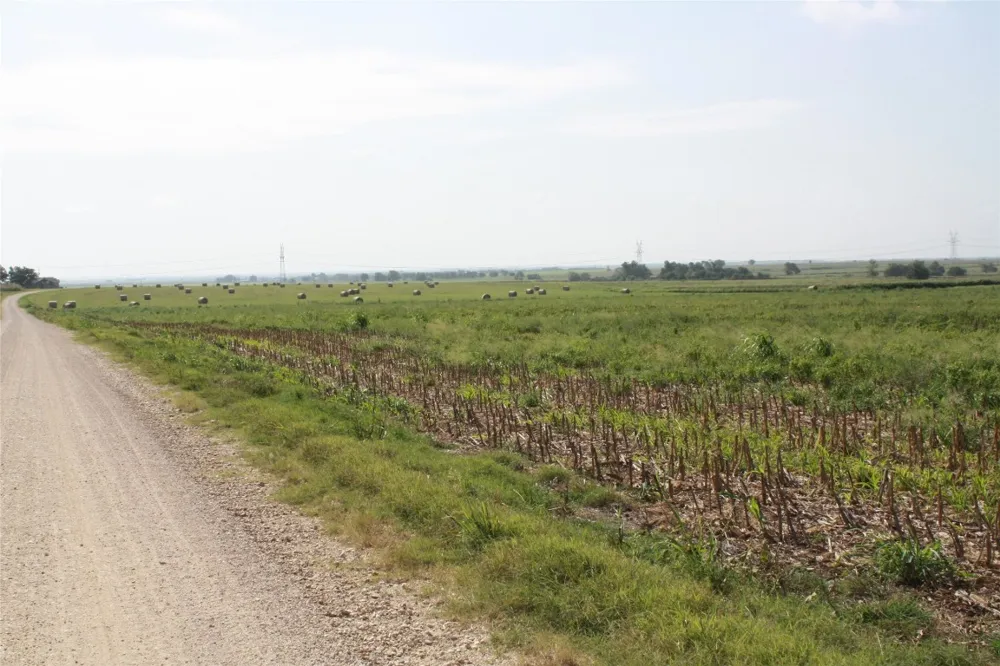 Gooseneck Road #1 Bartlett, TX 76511