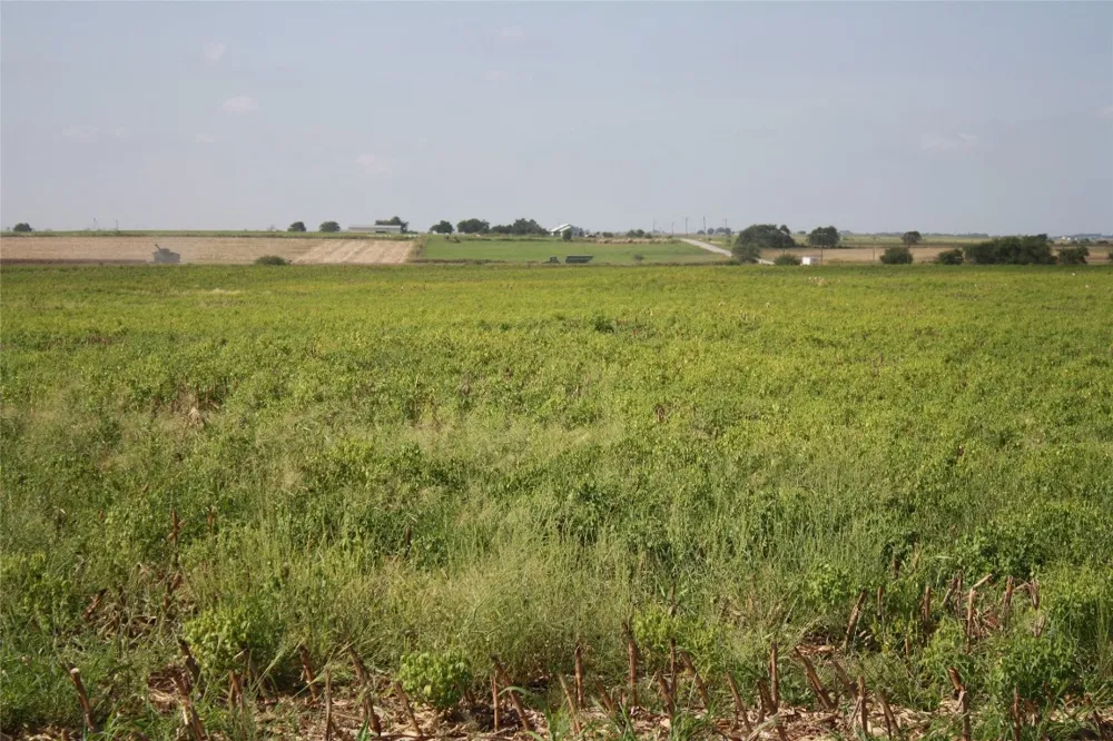 Gooseneck Road #1 Bartlett, TX 76511