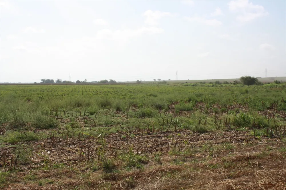 Gooseneck Road #2 Bartlett, TX 76511