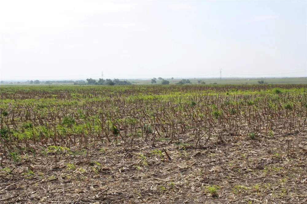 Gooseneck Road #2 Bartlett, TX 76511