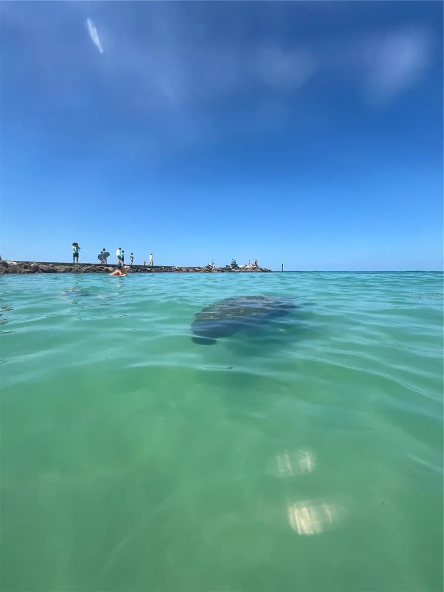 109 BAYSHORE ROAD #10 Nokomis, FL 34275