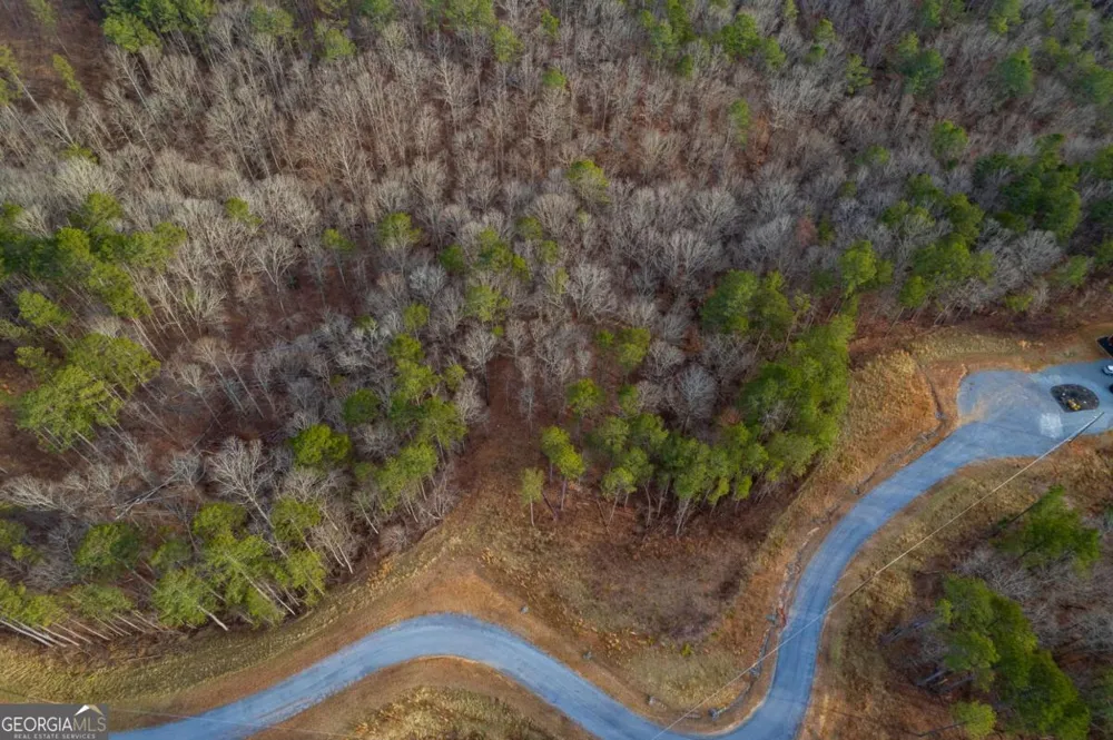 LOT 186 Shelter Cove TRL Talking Rock, GA 30175