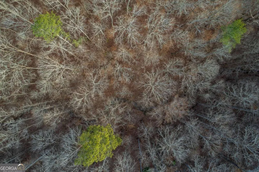 LOT 186 Shelter Cove TRL Talking Rock, GA 30175