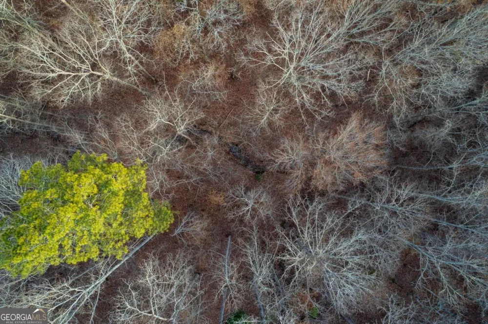 LOT 186 Shelter Cove TRL Talking Rock, GA 30175