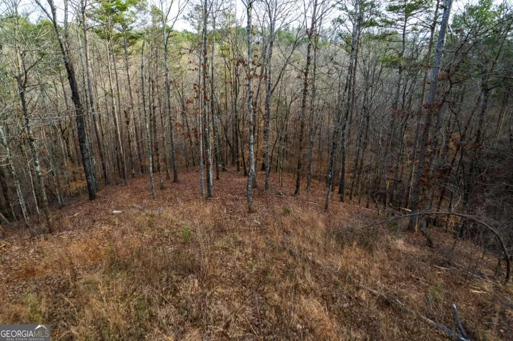 LOT 186 Shelter Cove TRL Talking Rock, GA 30175