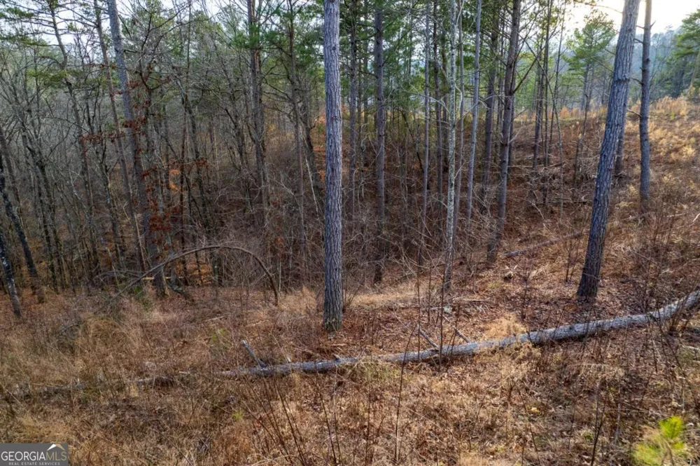 LOT 186 Shelter Cove TRL Talking Rock, GA 30175