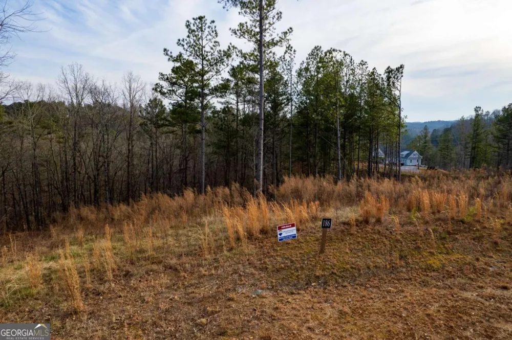 LOT 186 Shelter Cove TRL Talking Rock, GA 30175
