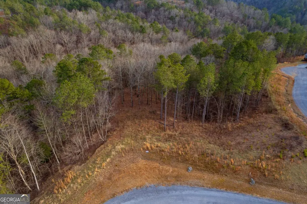 LOT 186 Shelter Cove TRL Talking Rock, GA 30175