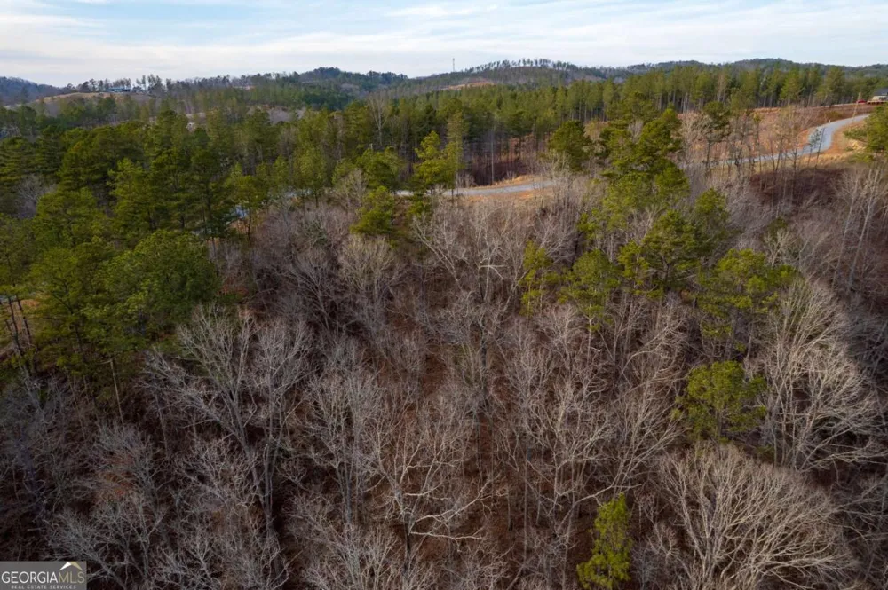LOT 186 Shelter Cove TRL Talking Rock, GA 30175