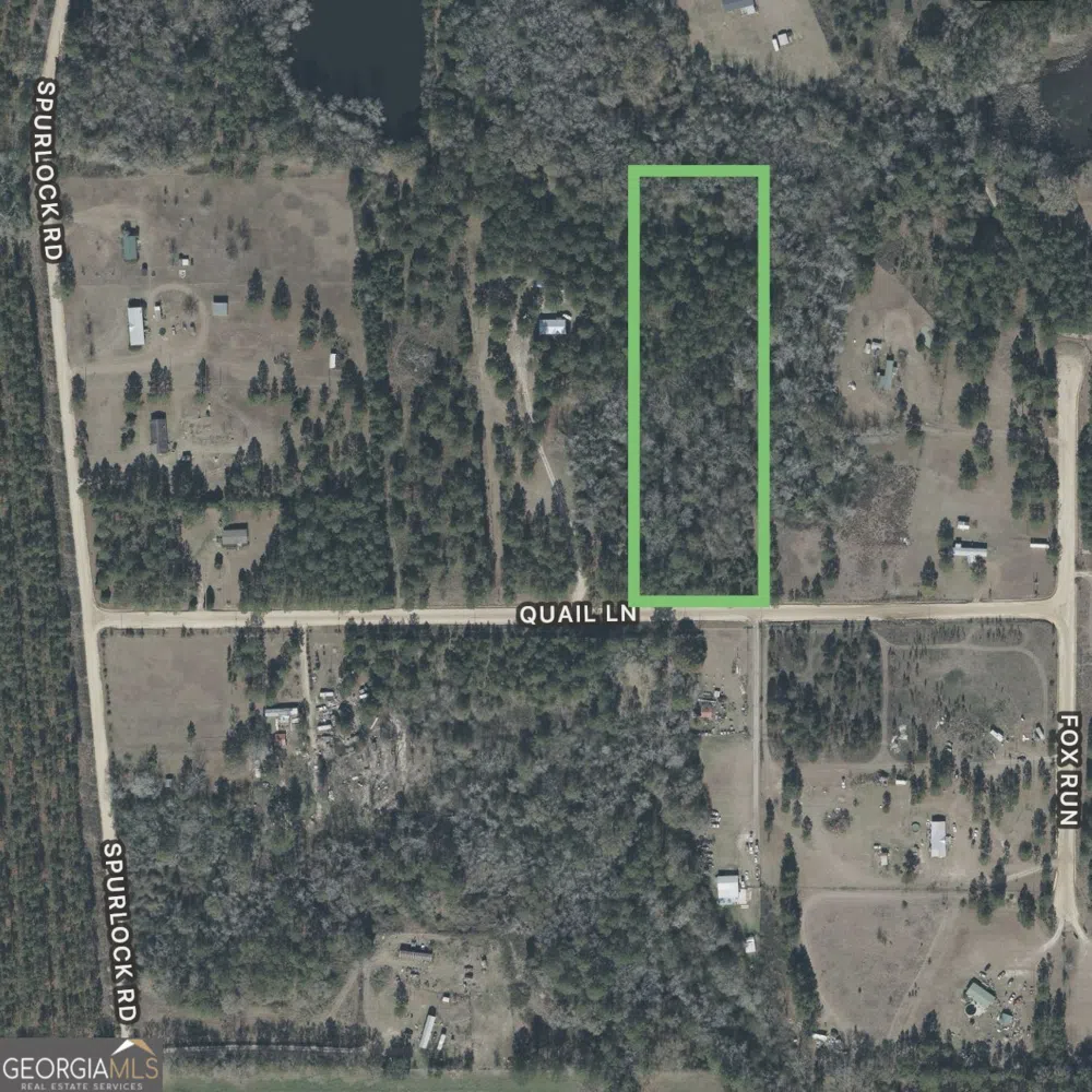 0 Quail LN Alapaha, GA 31622