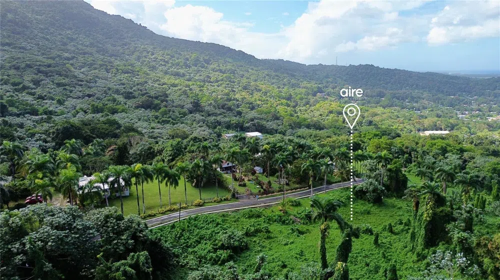 PR-191, Km 2.4 BO. MAMEYES II Rio Grande, PR 00745