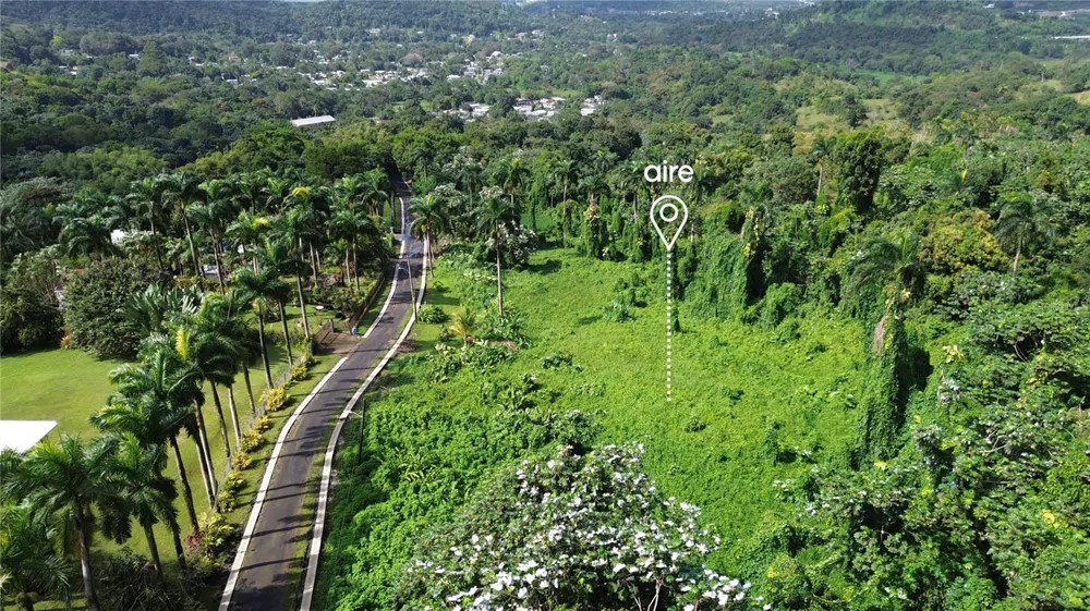 PR-191, Km 2.4 BO. MAMEYES II Rio Grande, PR 00745