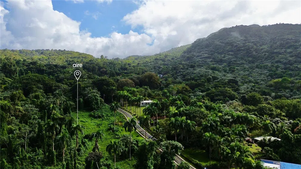 PR-191, Km 2.4 BO. MAMEYES II Rio Grande, PR 00745