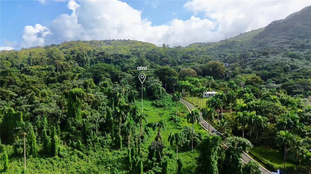 PR-191, Km 2.4 BO. MAMEYES II Rio Grande, PR 00745