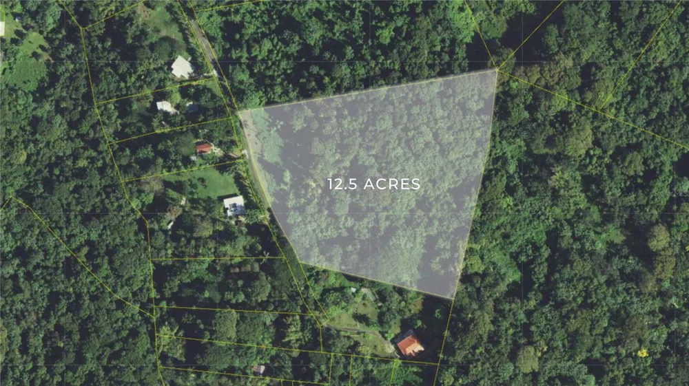 PR-191, Km 2.4 BO. MAMEYES II Rio Grande, PR 00745