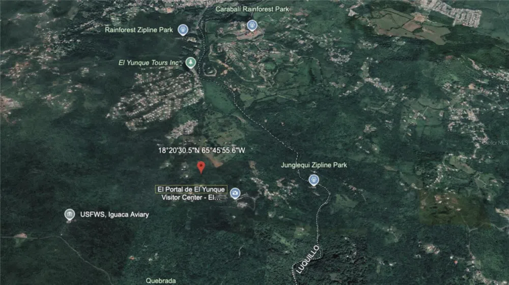 PR-191, Km 2.4 BO. MAMEYES II Rio Grande, PR 00745