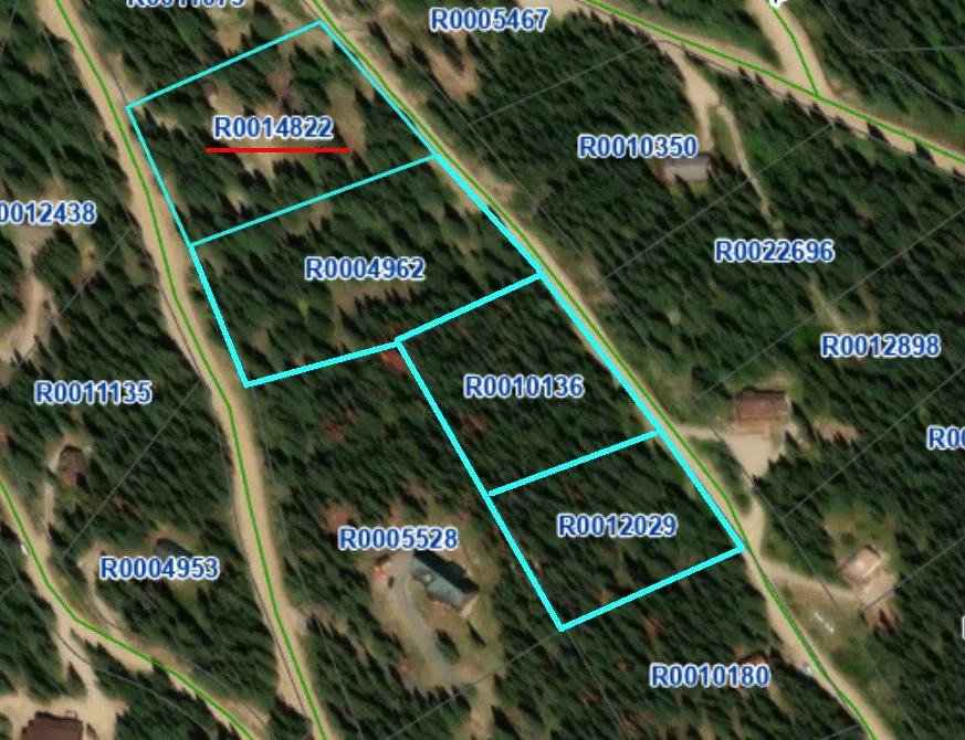 926 Nuthatch Drive Alma, CO 80420