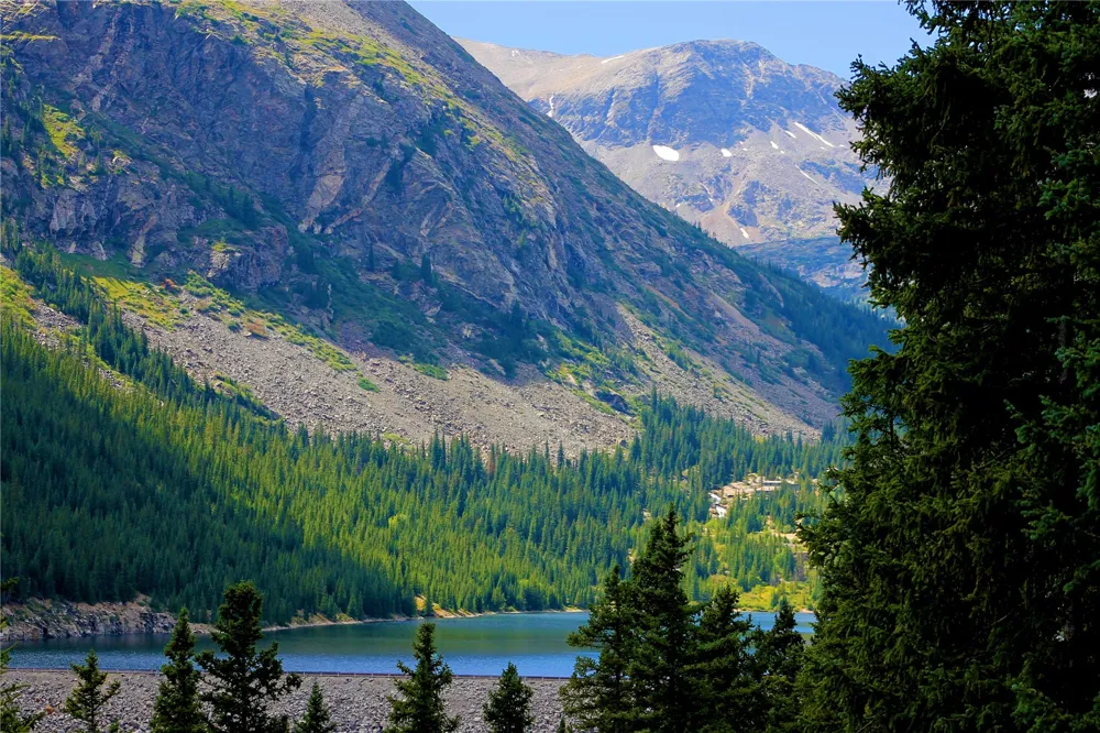 926 Nuthatch Drive Alma, CO 80420